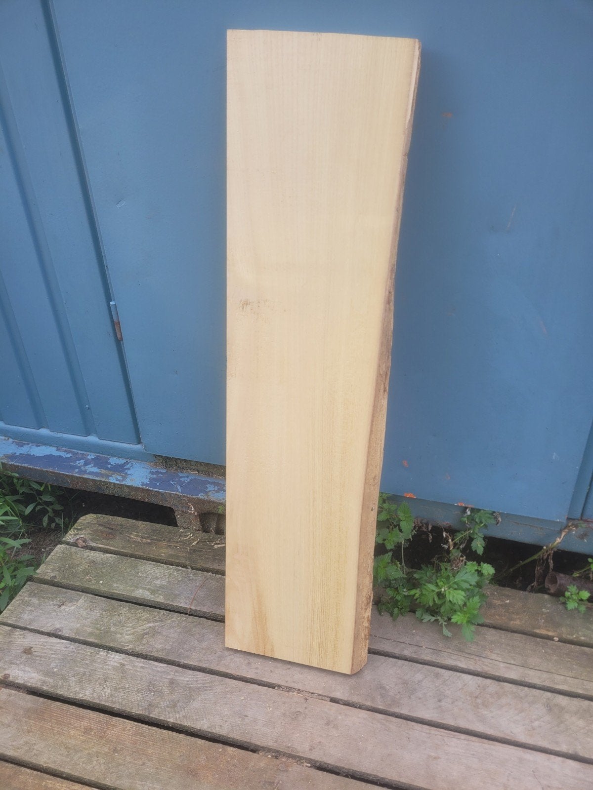 schaaldeel boomplank wandplank ACACIA (ROBINIA), Ophalen of Verzenden, Nieuw