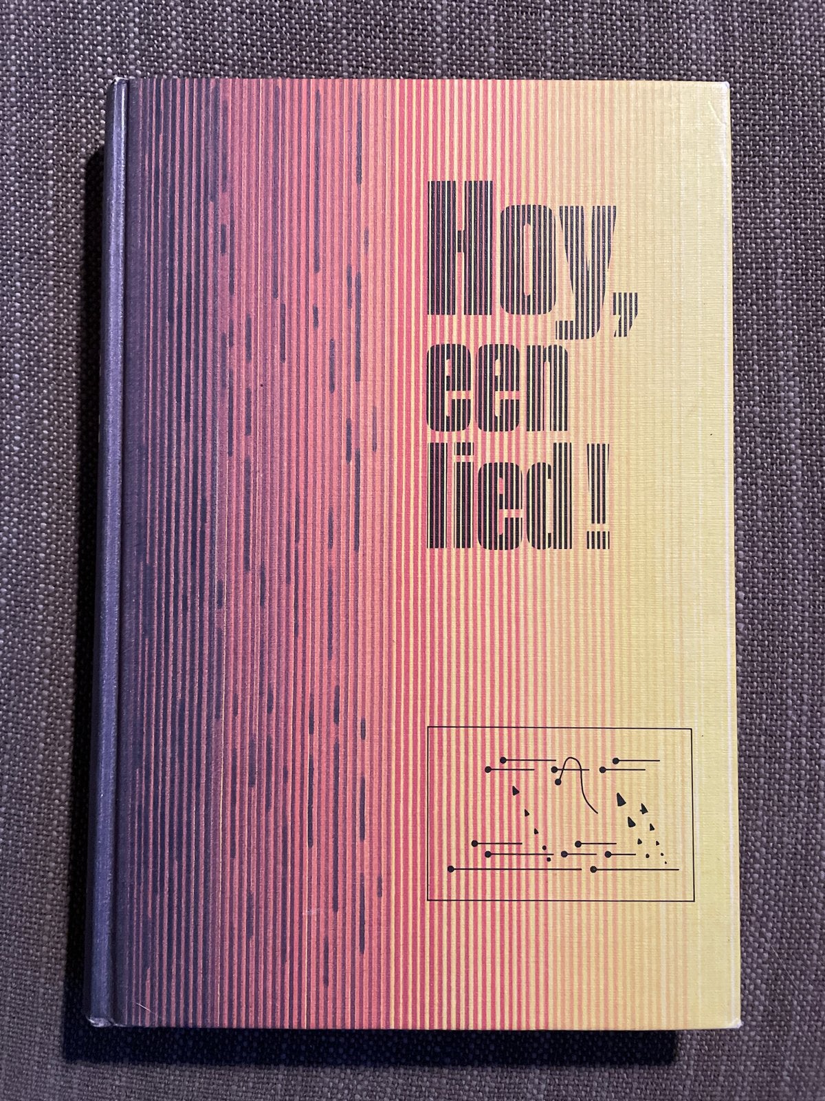 Hoy, een lied! Liederenbundel Thea en Nico Zaat, Ophalen of Verzenden, Gelezen, Overige onderwerpen