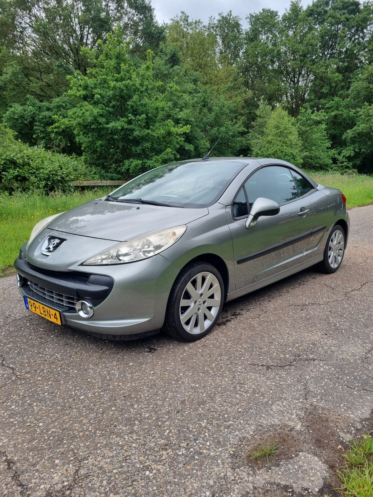 Peugeot 207 1.6 16V CC 88KW 2007 Grijs, Voorwielaandrijving, 4 cilinders, Cabriolet, 4 stoelen