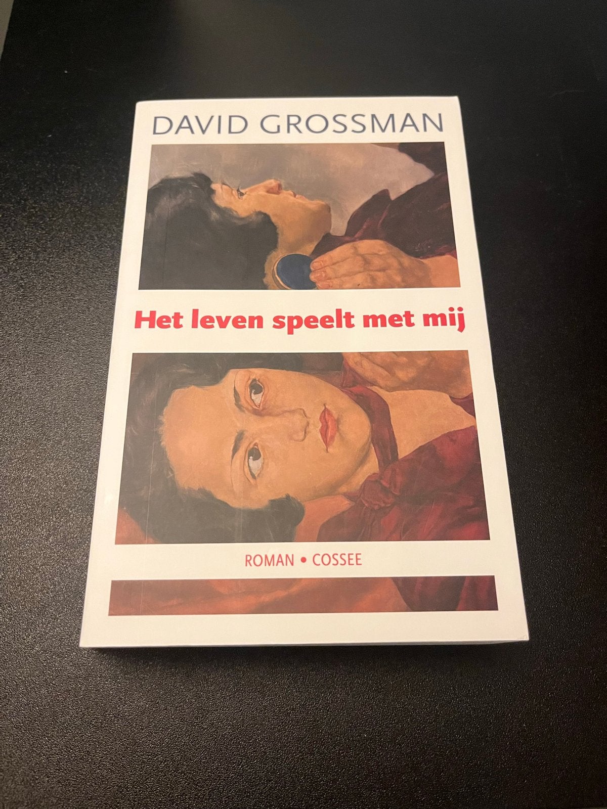 Het leven speelt met mij - David Grossman, Boeken, Ophalen, Zo goed als nieuw