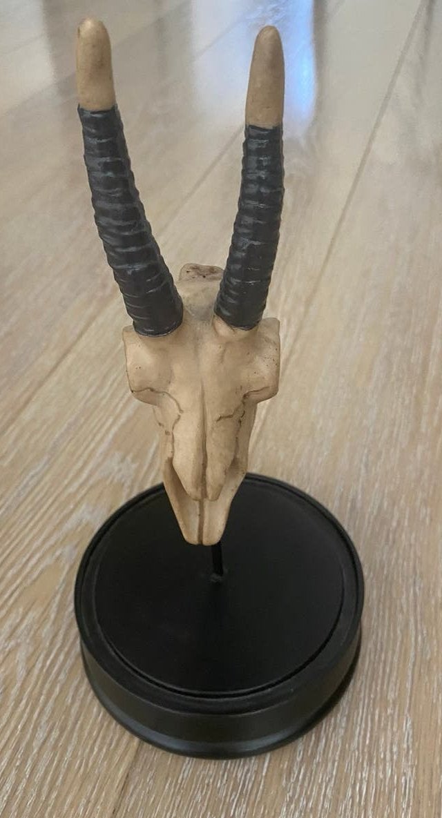 Skull op houten standaard, Hoogte: 27cm, nieuw, Ophalen of Verzenden, Nieuw