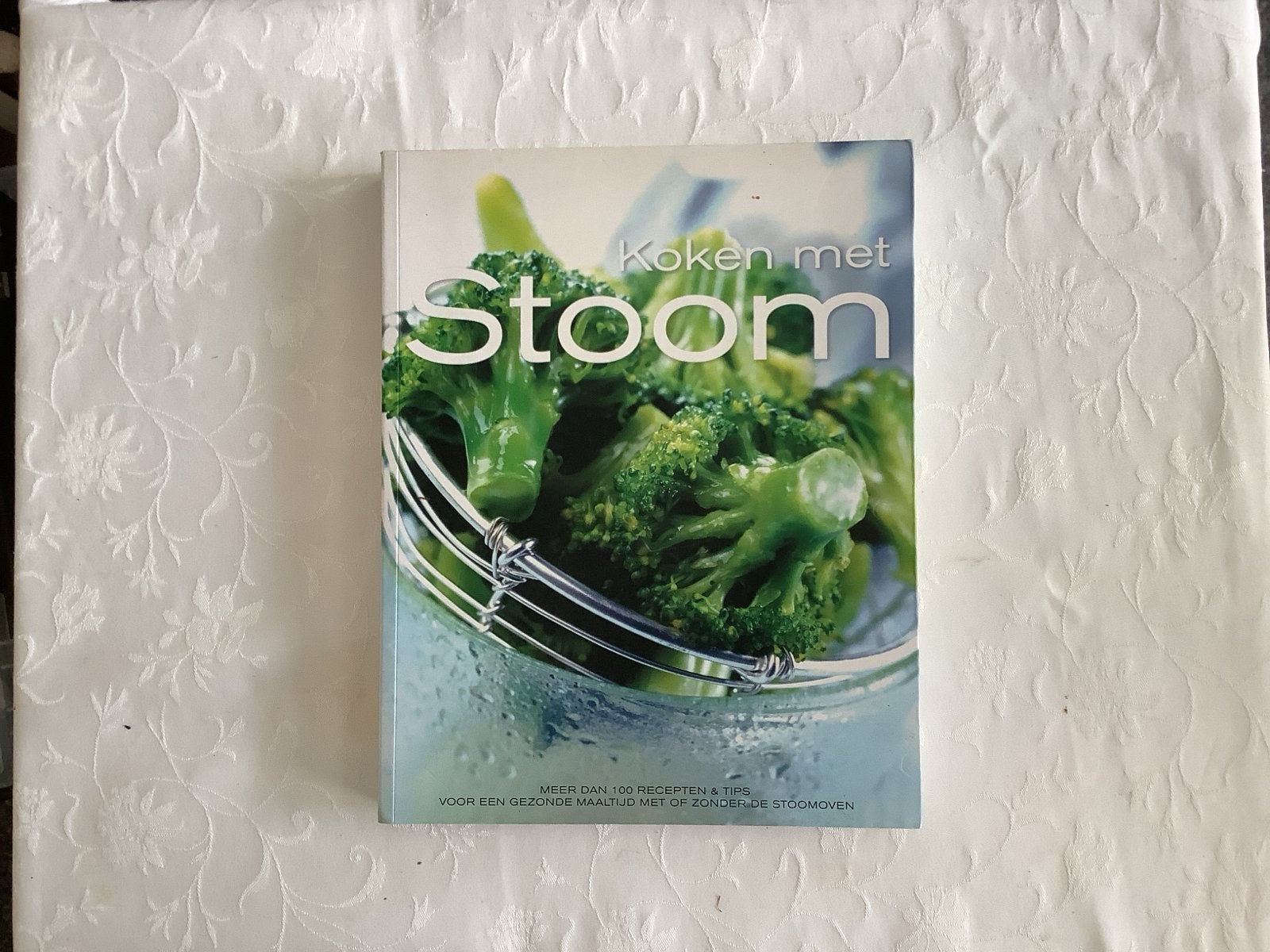 Koken met Stoom - Gezonde Recepten & Tips, Hoofdgerechten, Ophalen of Verzenden, Zo goed als nieuw, Gezond koken