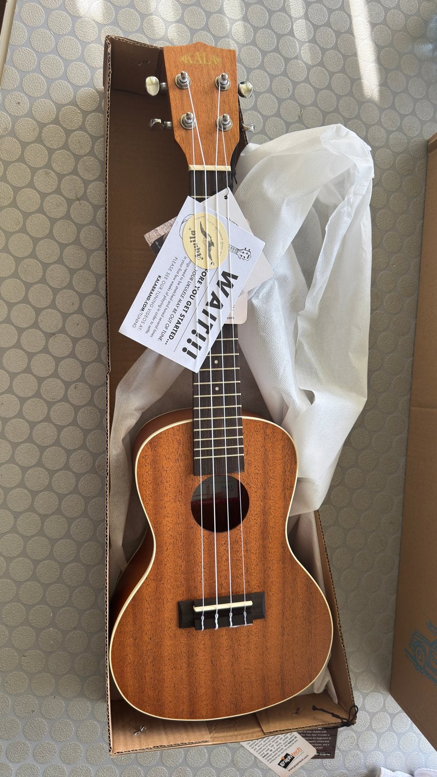 Kala KA-C Concert Ukulele - Nieuw in doos, Muziek en Instrumenten, Ophalen of Verzenden, Nieuw, Ukelele