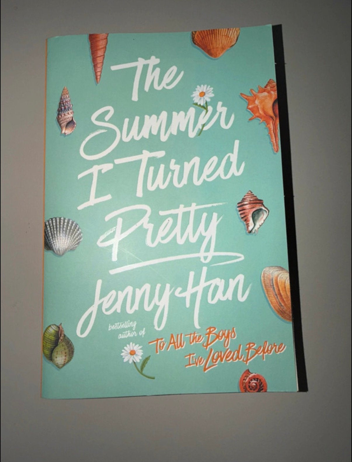 The summer I turned pretty- Engelse versie, Ophalen of Verzenden, Gelezen