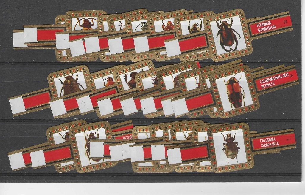 reeks 4611  torren   1-24    sigarenbanden, Ophalen of Verzenden, Zo goed als nieuw, Sigarenbandjes