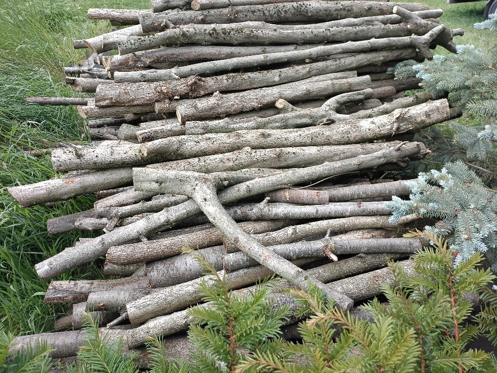 haardhout, 3 tot 6 m³, Ophalen, Overige houtsoorten, Stammen