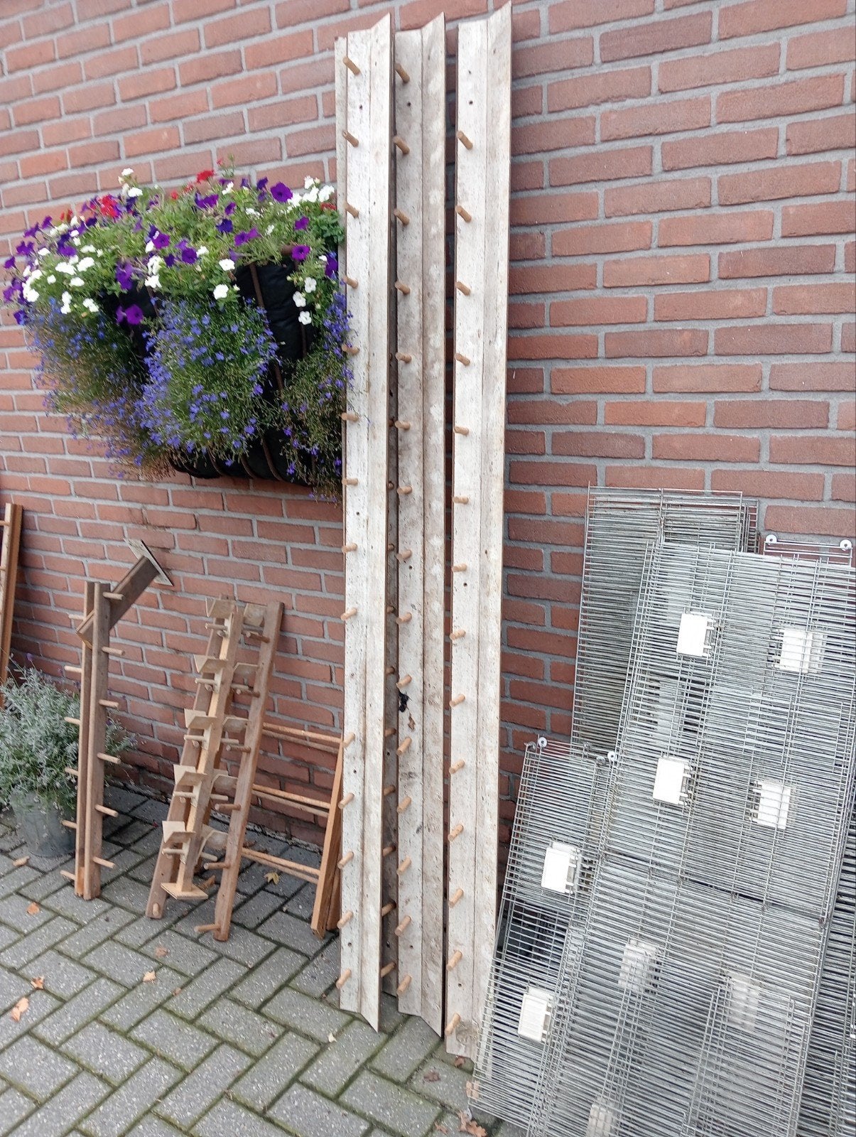 Vogelspullen, Dieren en Toebehoren, Ophalen, Hout, Vogelkooi