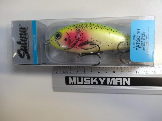 Kunstaas: Salmo Fatso 10 Sinking Jerkbaits, Watersport en Boten, Hengelsport | Roofvissen, Verzenden, Nieuw, Overige typen