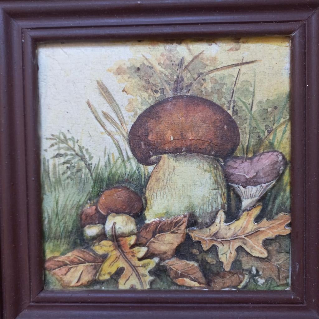 Vintage Paddenstoel relief schilderijtje in Houten Lijst, Antiek en Kunst, Ophalen of Verzenden