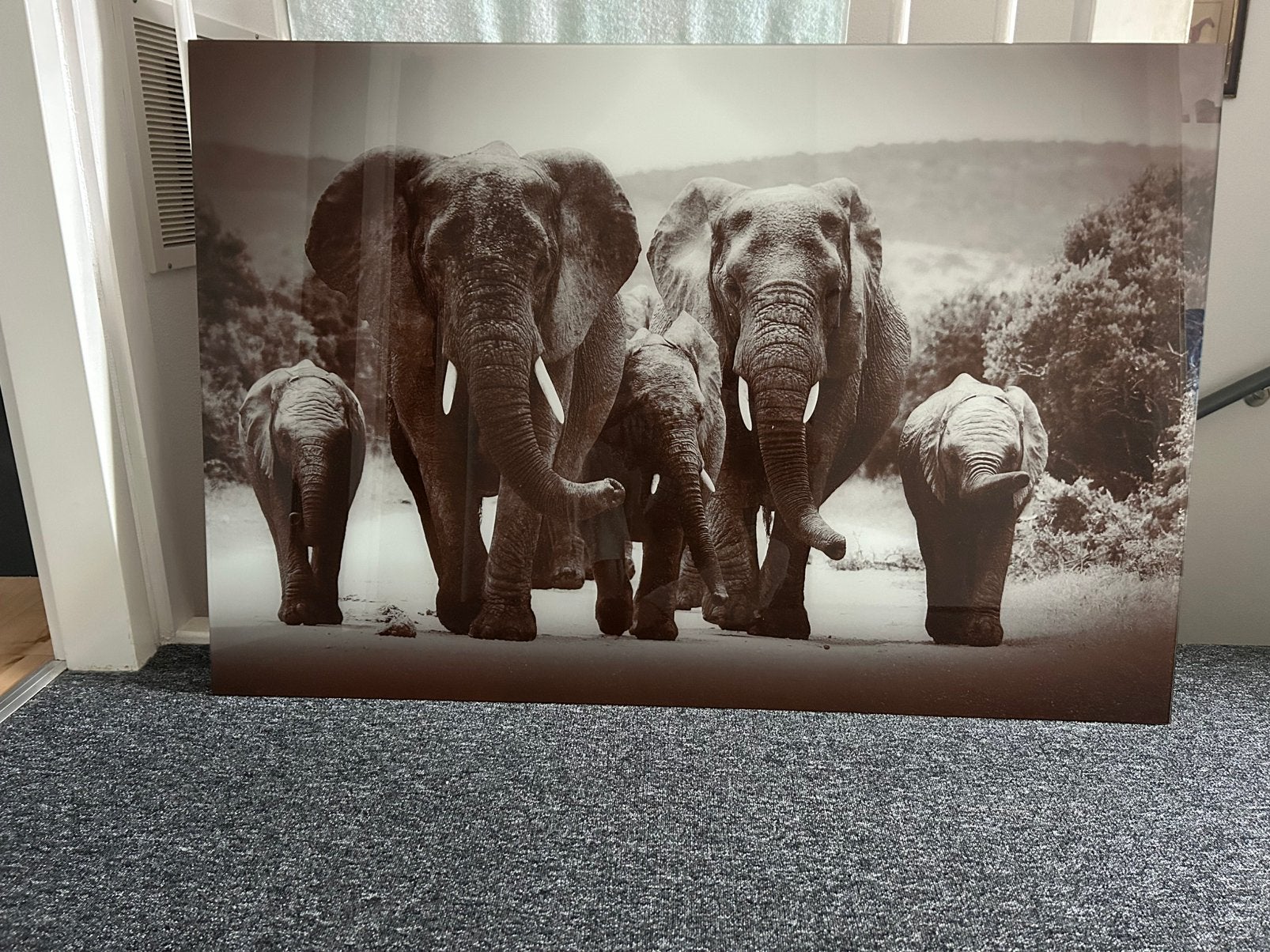 Wanddecoratie van glas olifanten 120 x 80, Huis en Inrichting, Woonaccessoires | Schilderijen, Tekeningen en Foto's, Ophalen, Zo goed als nieuw