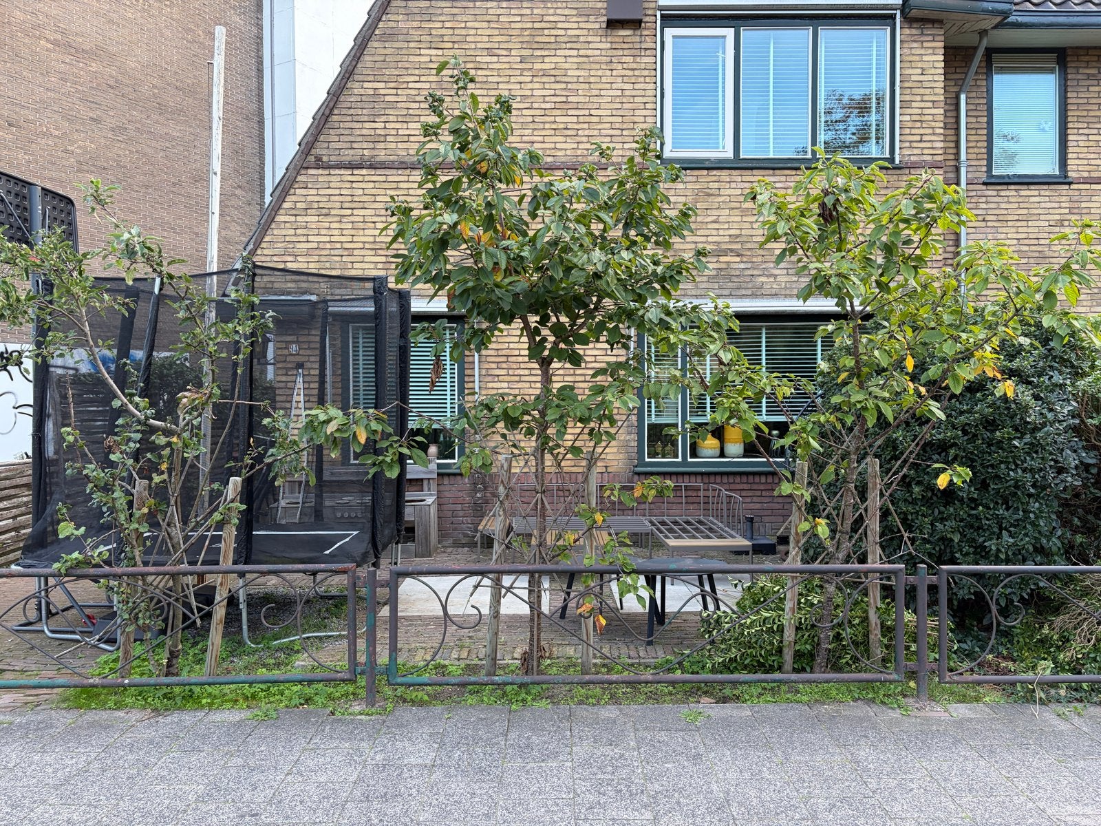 Fruitbomen: 2x Appelboom, 1x Kersenboom, Tuin en Terras, Overige soorten, Lente, 250 tot 400 cm, Ophalen