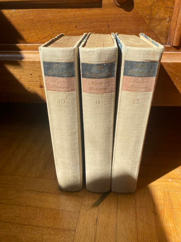 Dostojevski - De gebroeders Karamazov (Duits), Ophalen of Verzenden, Zo goed als nieuw