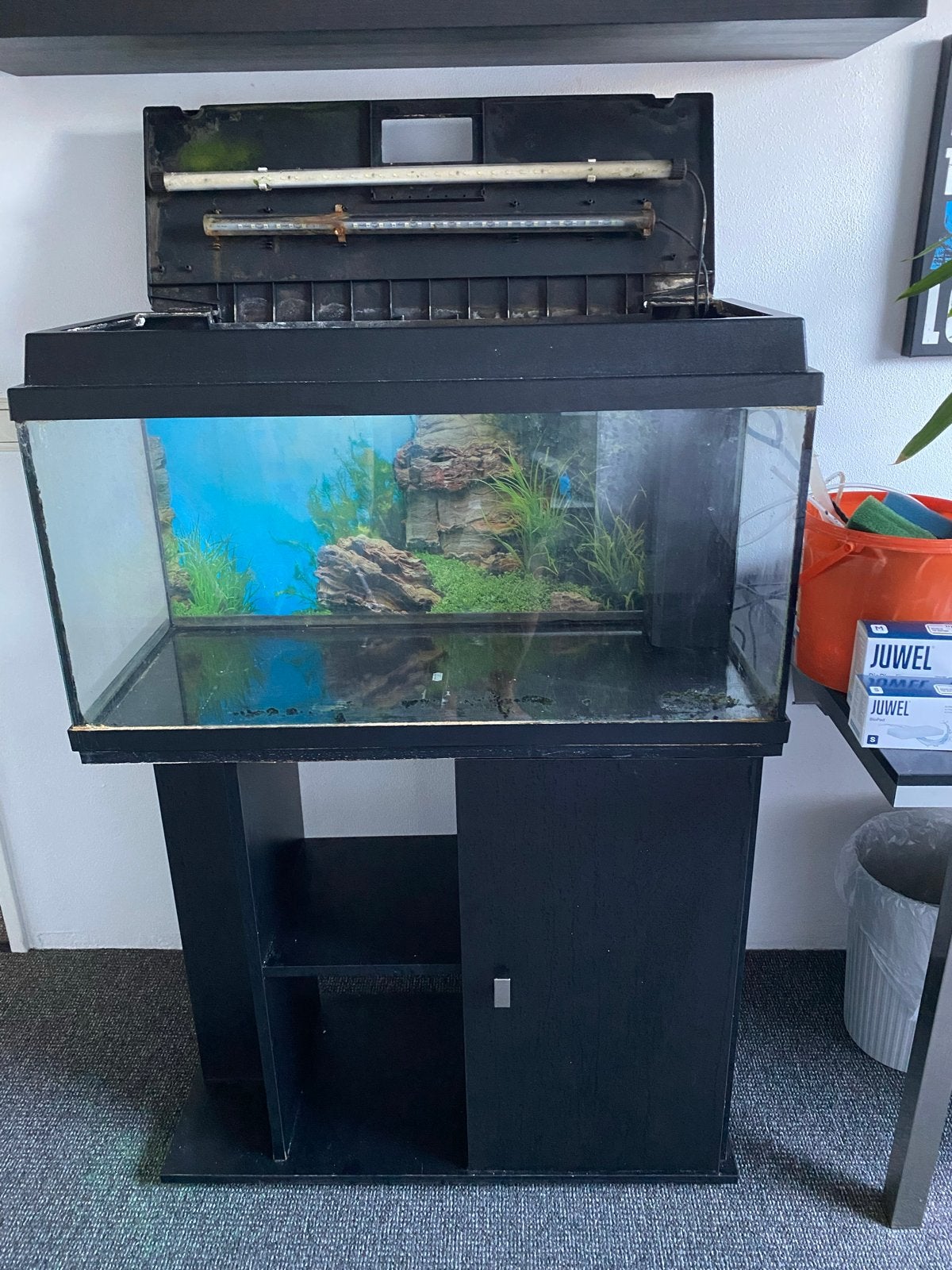 80x40x35 cm aquarium, Ophalen, Gebruikt, Leeg aquarium, Verwarming