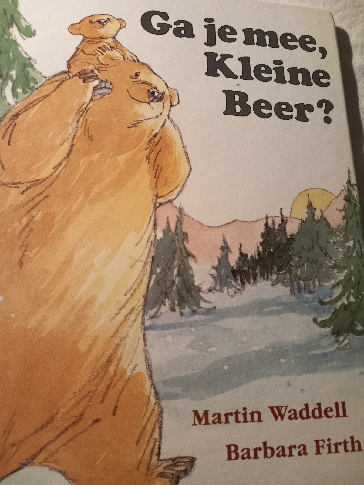 Martin Waddell - Ga je mee, Kleine Beer?, Ophalen of Verzenden, Gelezen, Martin Waddell; Barbara Firth, Prentenboek
