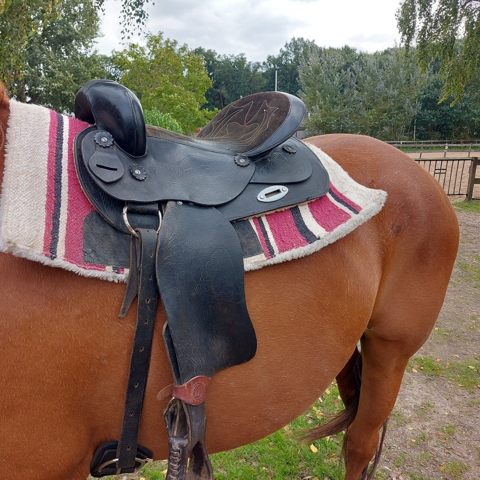 Westernzadel, Ophalen, Gebruikt