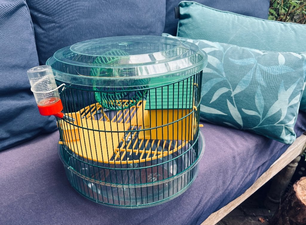 Kleine hamsterkooi, Dieren en Toebehoren, Kooi, Gebruikt, Minder dan 75 cm, Hamster