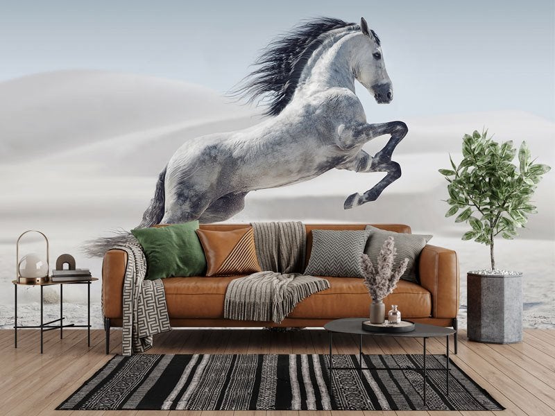 Fotobehang / Behang - Steigerend Paard in de Woestijn, Fotobehangkoning.nl, Verzenden, Wit, Hoogeveen