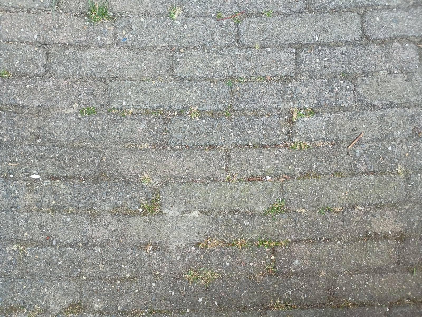 gratis bakstenen / klinkers circa 250 stuks gebruikt, Ophalen, Gebruikt, Beton, Klinkers