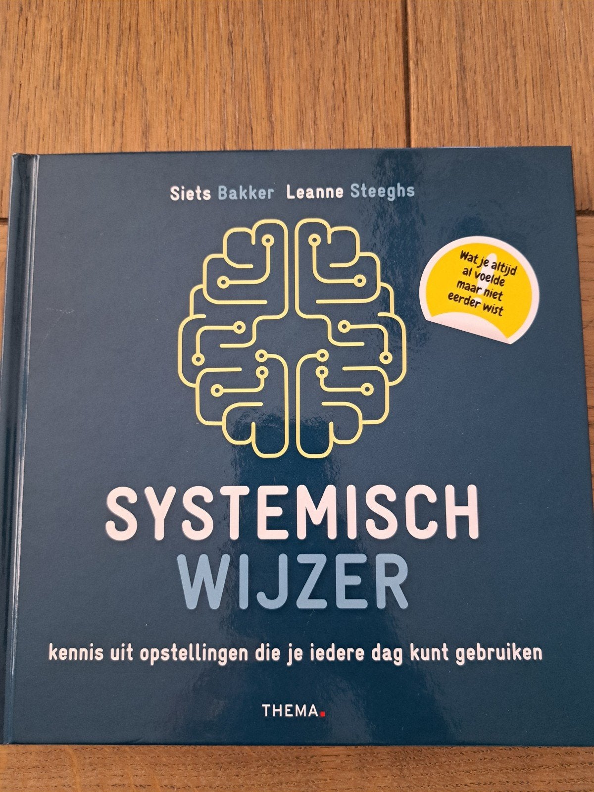 Systemisch Wijzer - Siets Bakker & Leanne Steeghs, Ophalen of Verzenden, Zo goed als nieuw, Siets Bakker, Leanne Steeghs