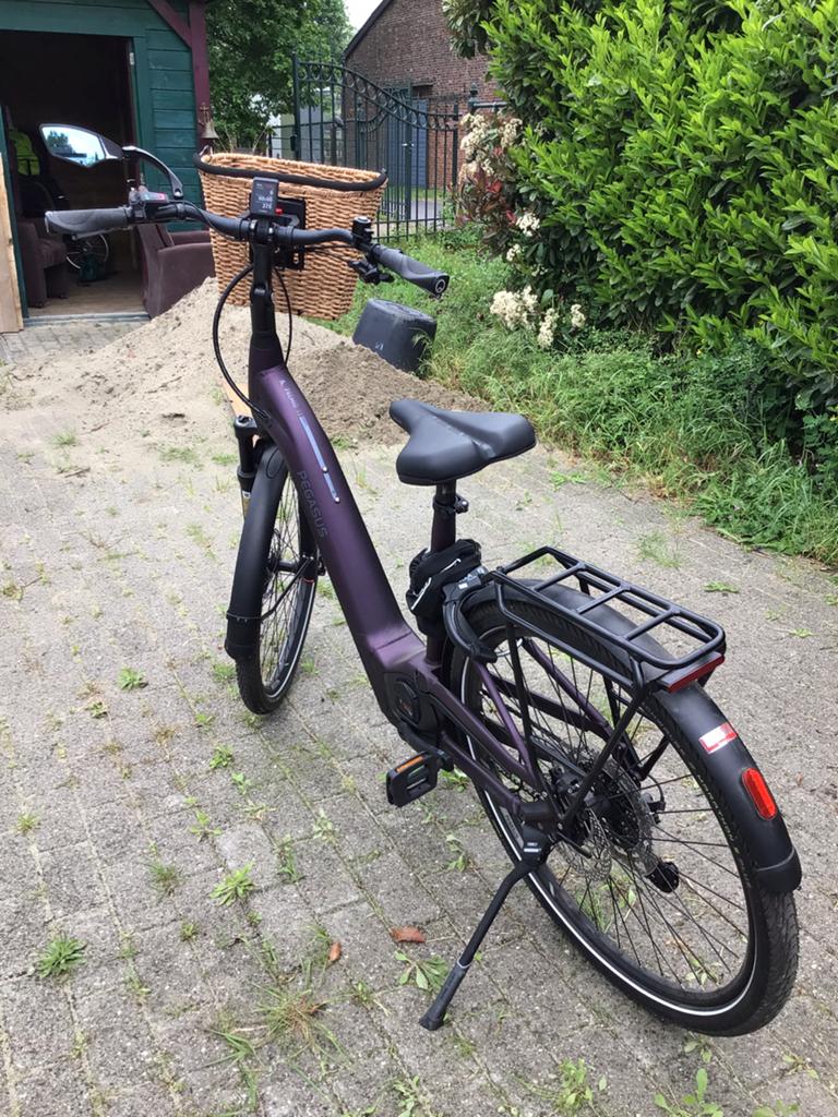 Zo goed als nieuwe Pegasus Premio Evo 11 Lite, 59 cm of meer, Ophalen, Zo goed als nieuw, Overige merken