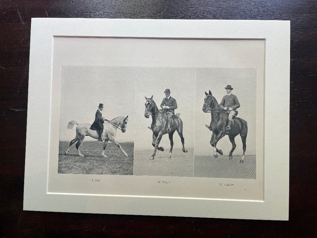 Paarden prent 1907 Le Pas Le trot Le Galop P0611-01, Ophalen of Verzenden, Overige technieken, 1900 - 1949