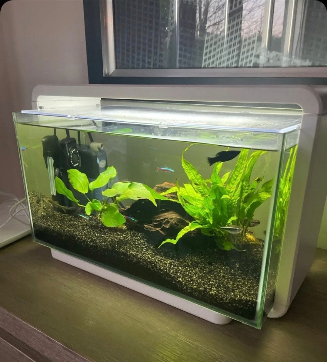 Aquarium Superfish Home 25, Gebruikt, Ophalen of Verzenden, Superfish, Leeg aquarium