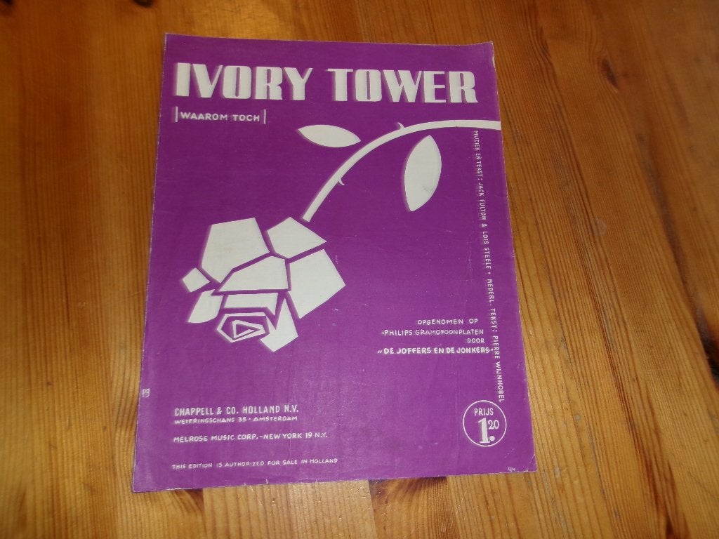 Ivory tower - fulton steele, Gebruikt, Gitaar, Ophalen of Verzenden, Artiest of Componist