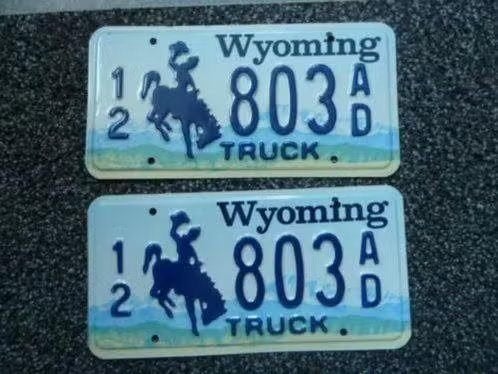 Paar USA License plate / kentekenplaten Wyoming USA, Verzenden, Gebruikt, Auto's