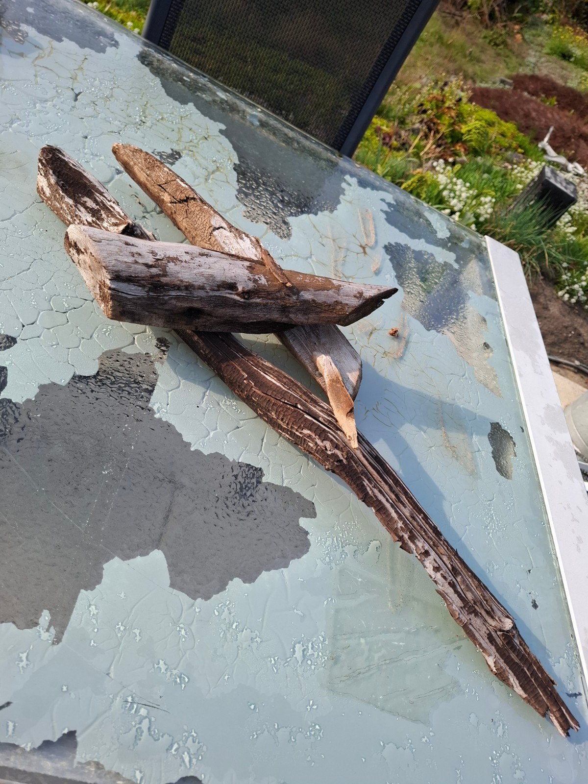 prachtig aquaroum hout, Ophalen of Verzenden, Plant(en), Steen of Hout