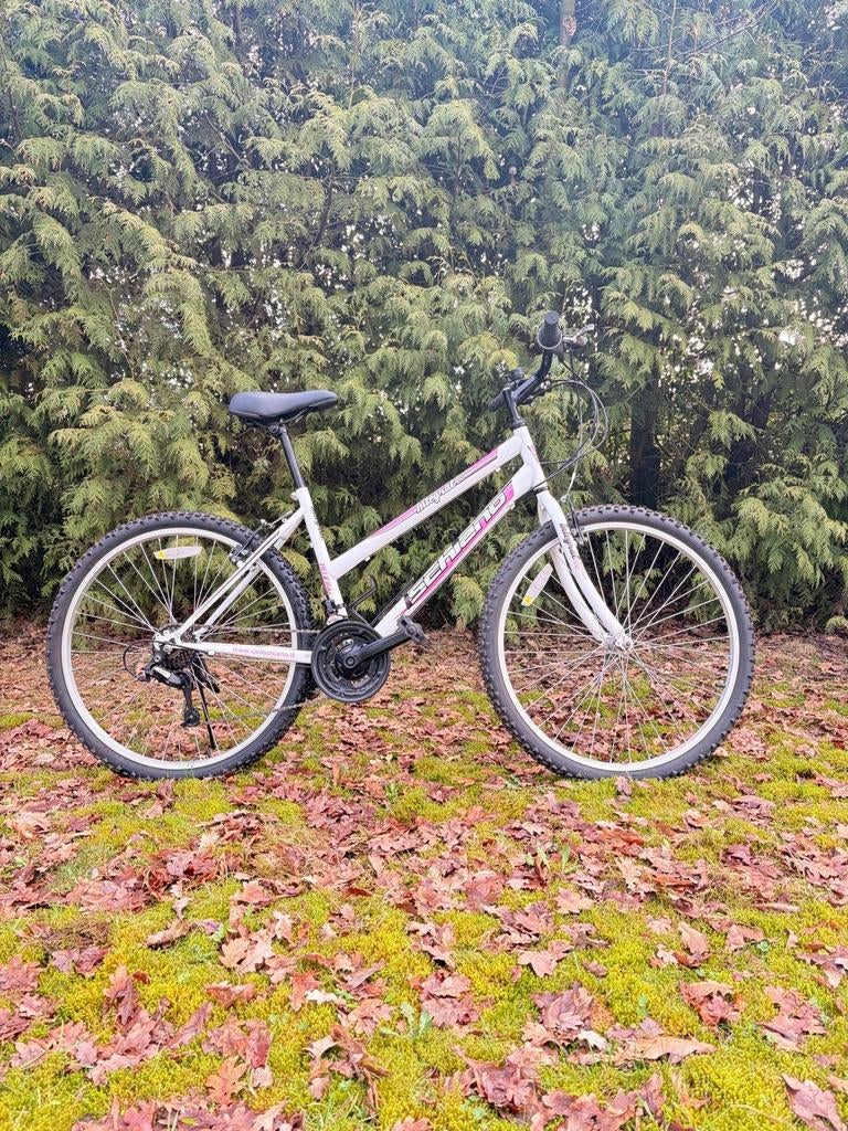 Dames MTB, 24 inch of meer, Gebruikt, Aluminium, Ophalen of Verzenden
