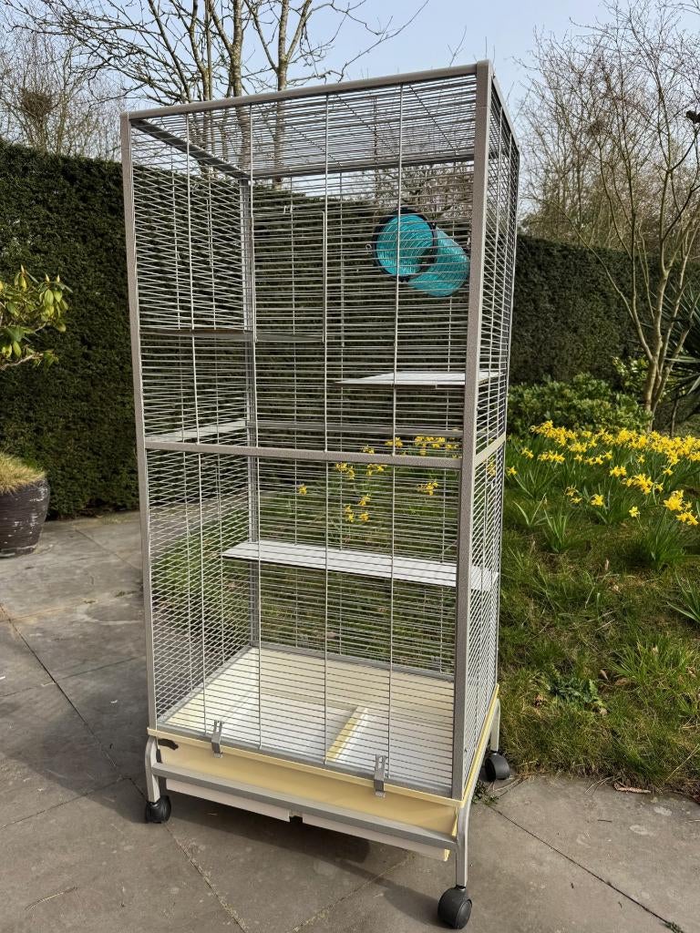 Montana kooi voor vogels of knaagdieren, Ophalen, Gebruikt, Metaal, Vogelkooi