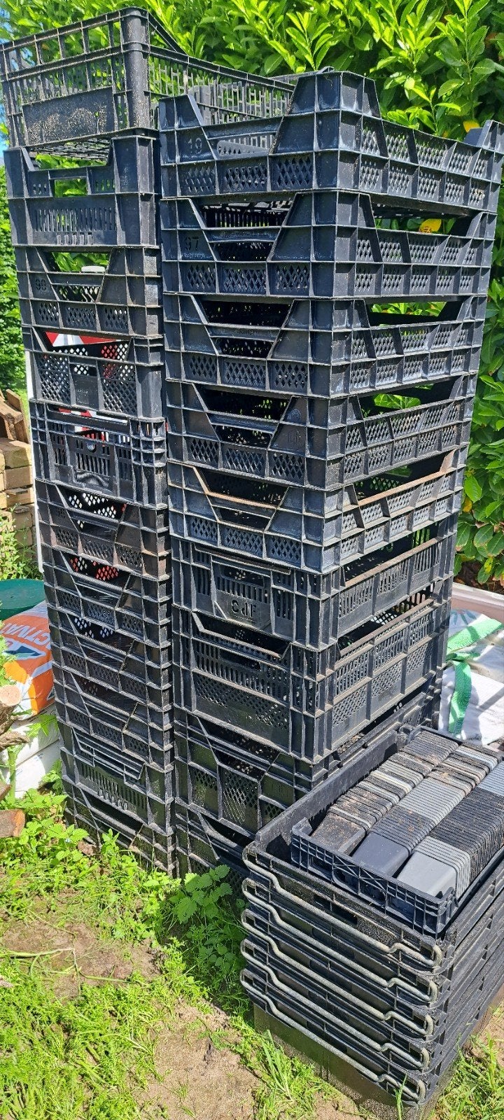 Kweek, Tuin en Terras, Ophalen, Gebruikt, Kweeklamp