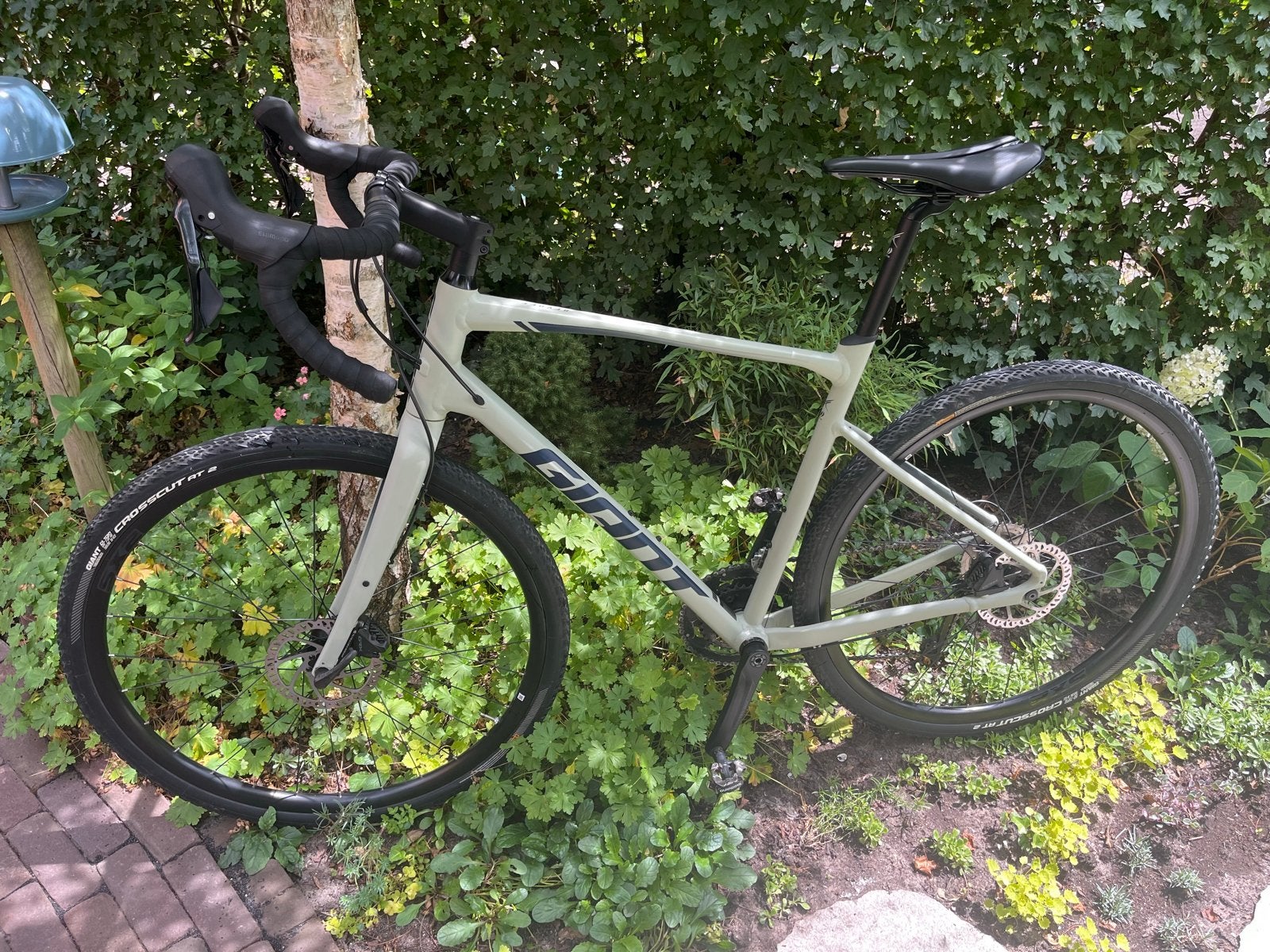 Giant Revolt Gravelbike - GRX - maat L - ZGAN, Ophalen, 28 inch, Heren, Aluminium