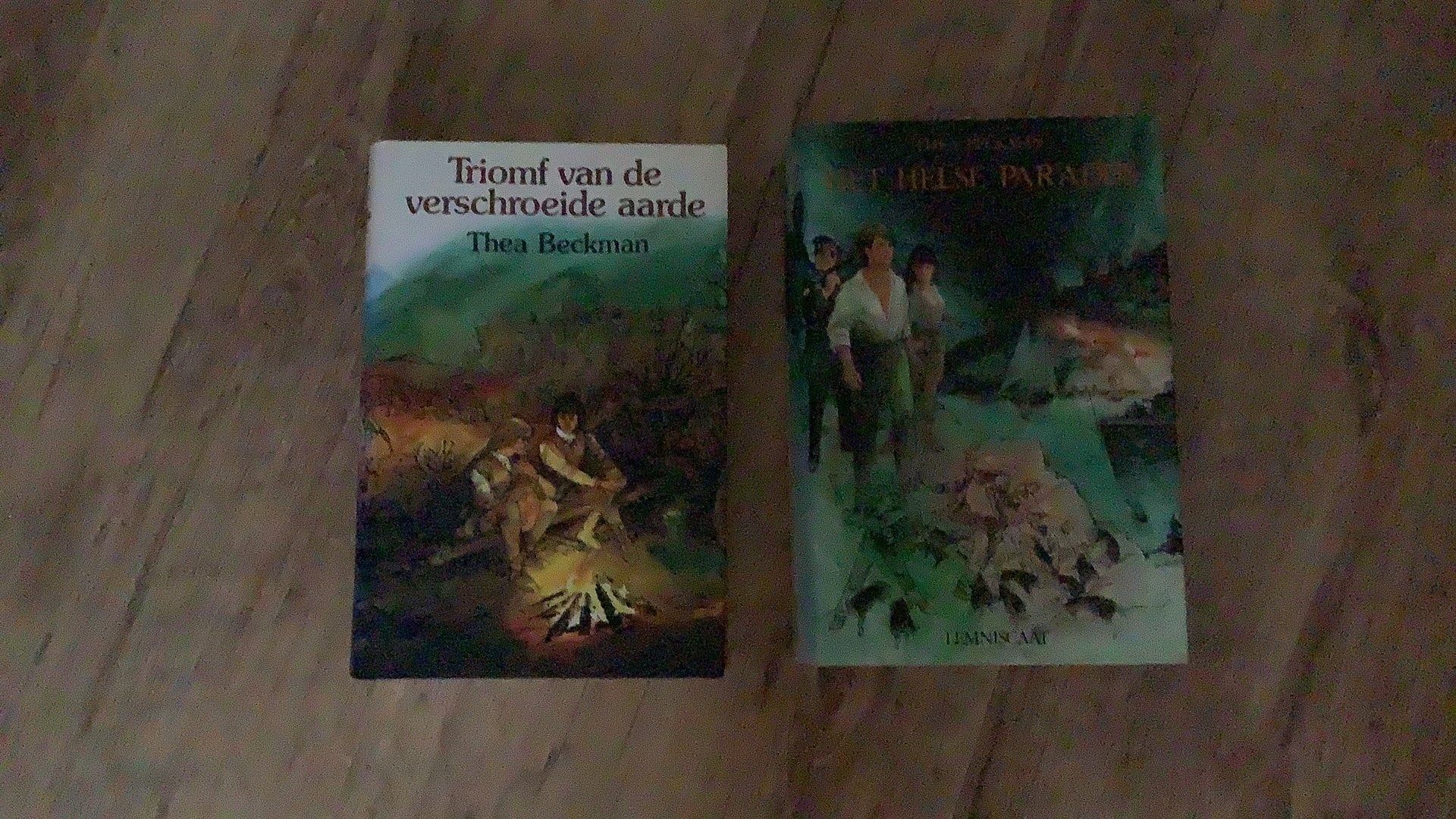 T. Beckman - Triomf van de verschroeide aarde, Boeken, Ophalen of Verzenden, Zo goed als nieuw, T. Beckman