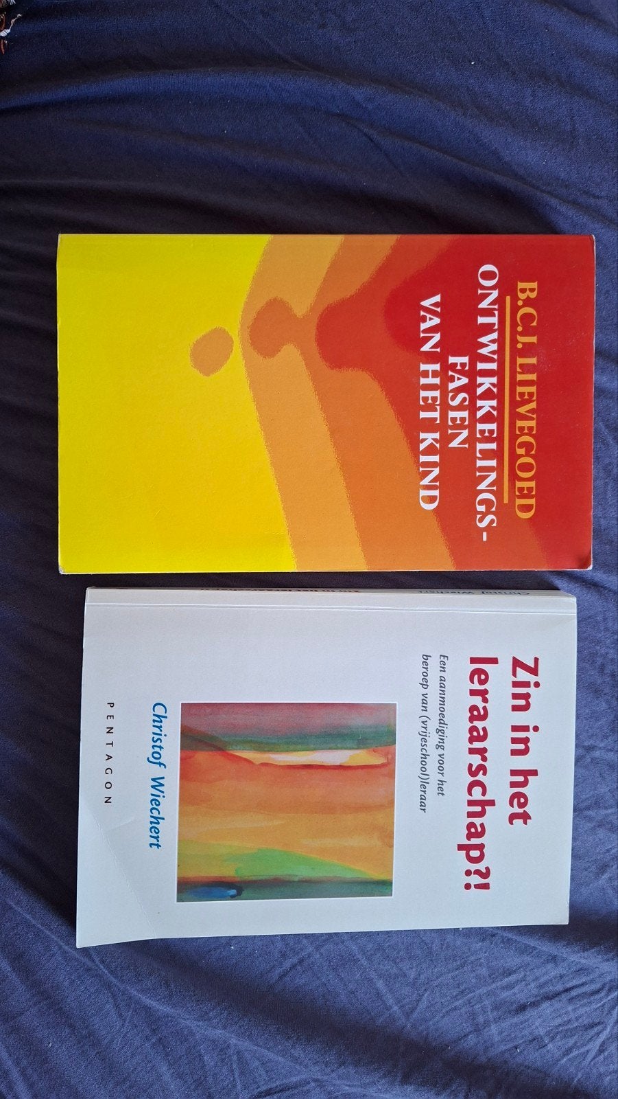 Boeken: vrije school onderwijs, Boeken, Studieboeken en Cursussen, Gelezen, B.C.J. Lievegoed, Christof Wiechert, Gamma, HBO