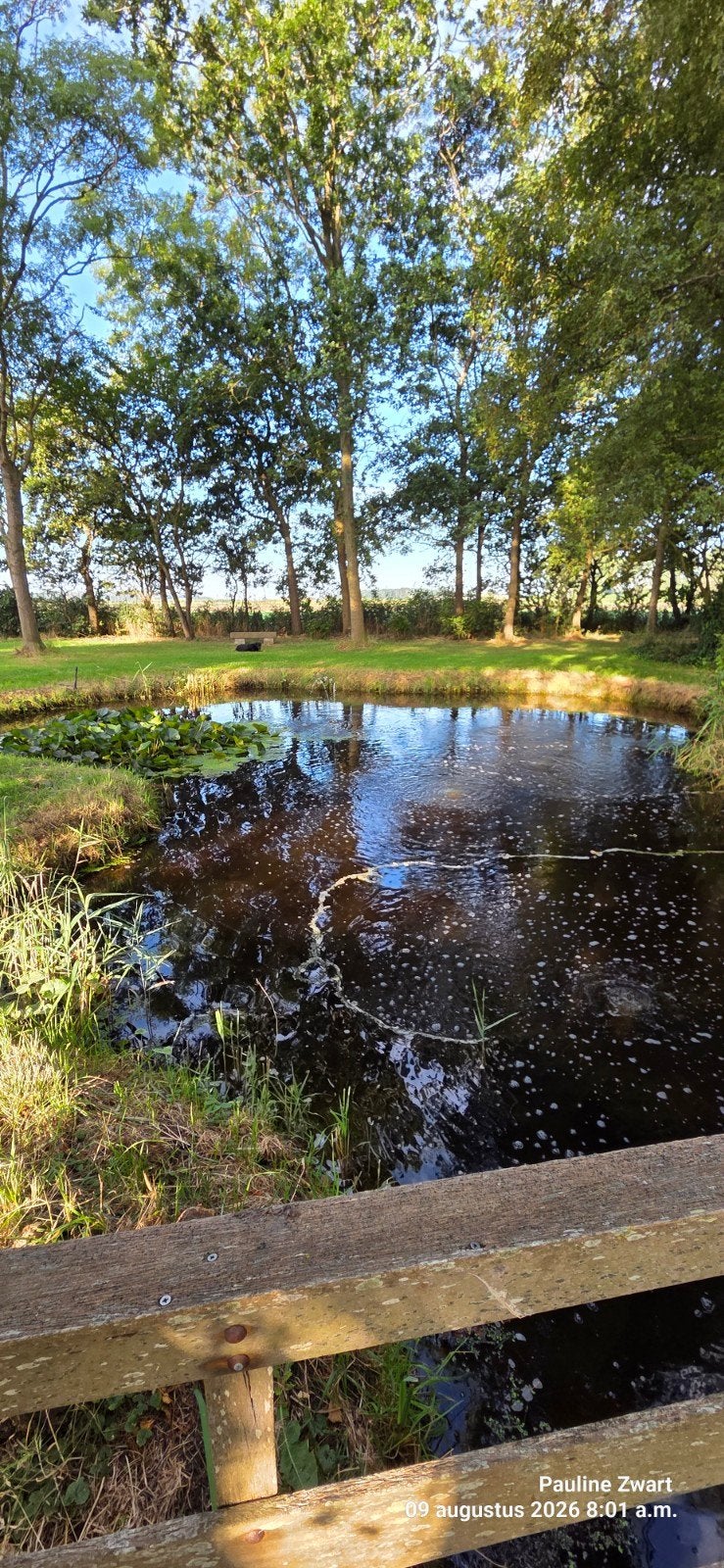 Gevraagd: grote vissen voor een grote natuurvijver, Dieren en Toebehoren, Overige soorten