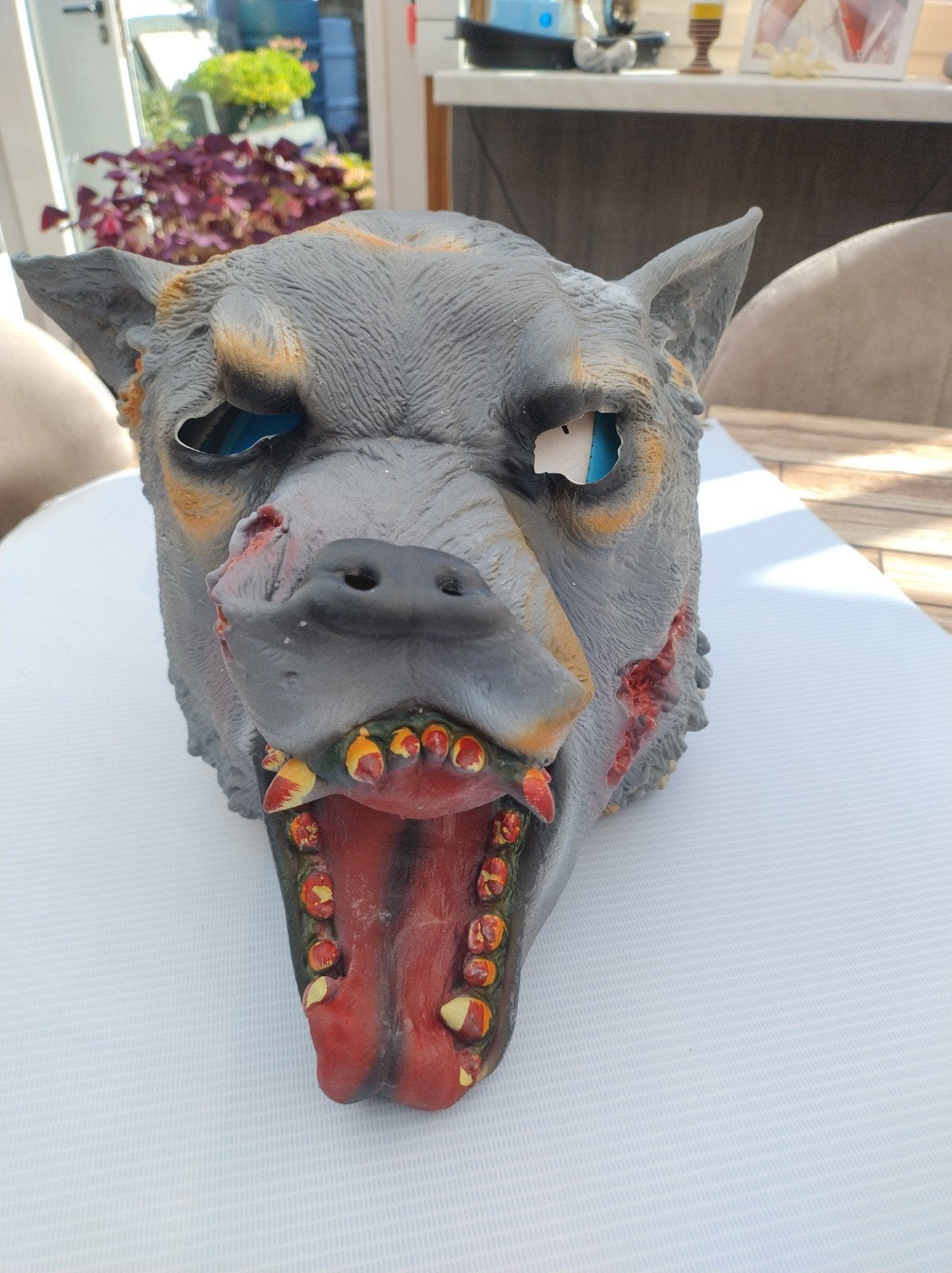 Griezelig Wolf Masker - Perfect voor Halloween!, Overige typen, Dieren, Ophalen of Verzenden, Zo goed als nieuw