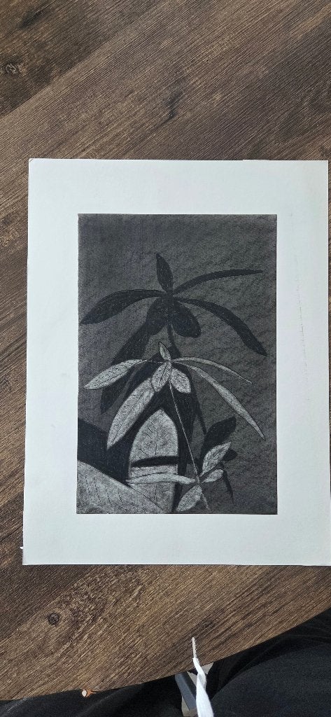 Stilleven van een kamerplant - Houtskool, Tekening, Klassiek, Handgeschilderd, Papier