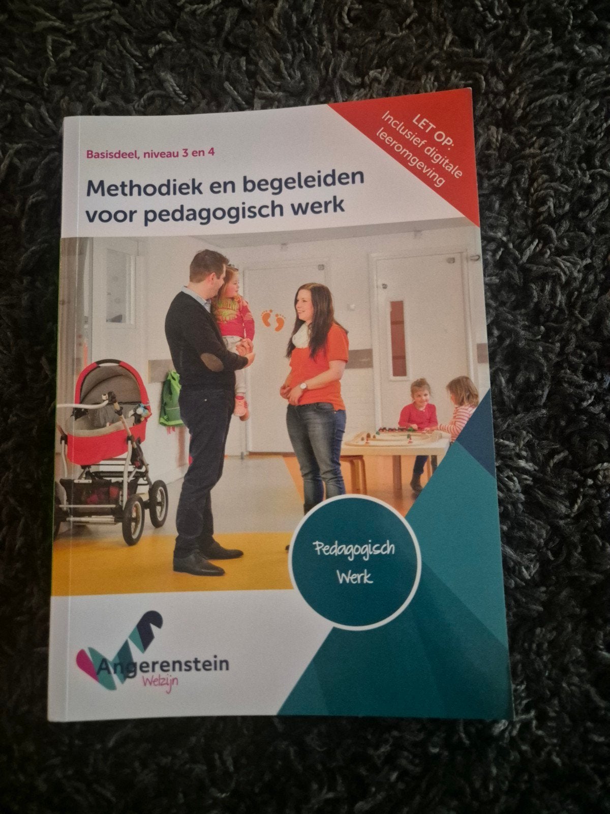 Methodiek en begeleiden voor pedagogisch werk, Nieuw, Ophalen of Verzenden, MBO, Gamma