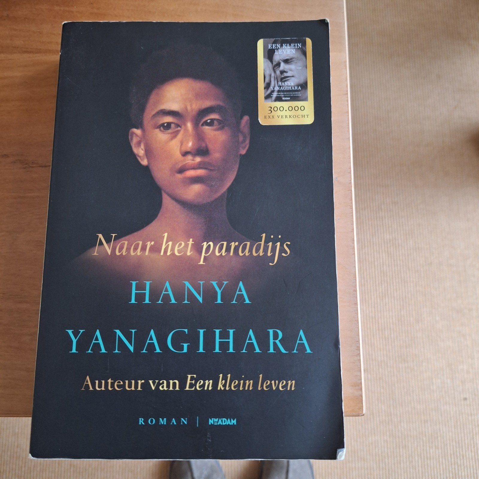 Naar het paradijs Hanya Yanagihara, Gelezen, Overige, Ophalen of Verzenden, Hanya Yanagihara