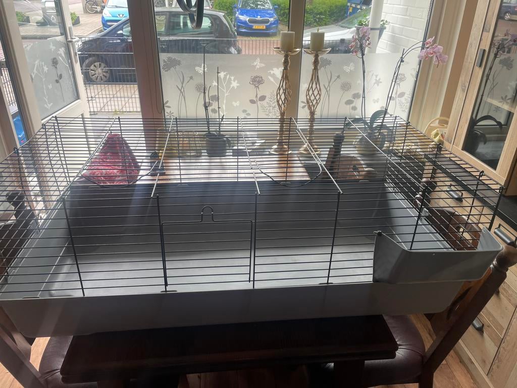 Groot Cavia/konijnen kooi, Dieren en Toebehoren, Kooi, 110 cm of meer, Eekhoorn, Zo goed als nieuw