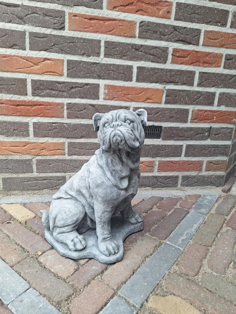 Betonbeeld Engelse Buldog, Ophalen, Nieuw, Beton, Dierenbeeld