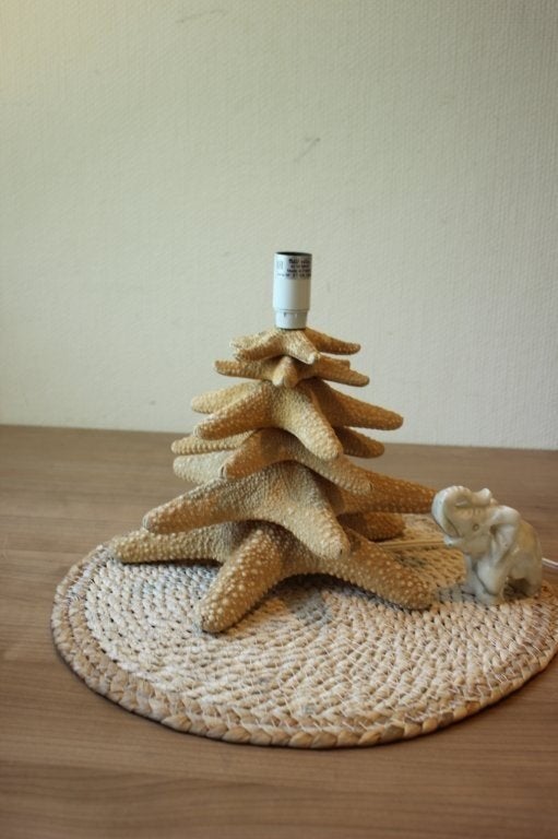 Zeester lamp, Ophalen of Verzenden, Mineraal