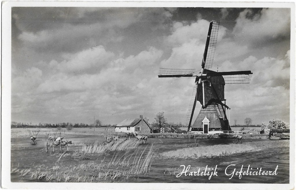 Molen, wipmolen, watermolen, eendennest, Hart. Gefeliciteerd, Verzenden, 1940 tot 1960, Gelopen, Zuid-Holland