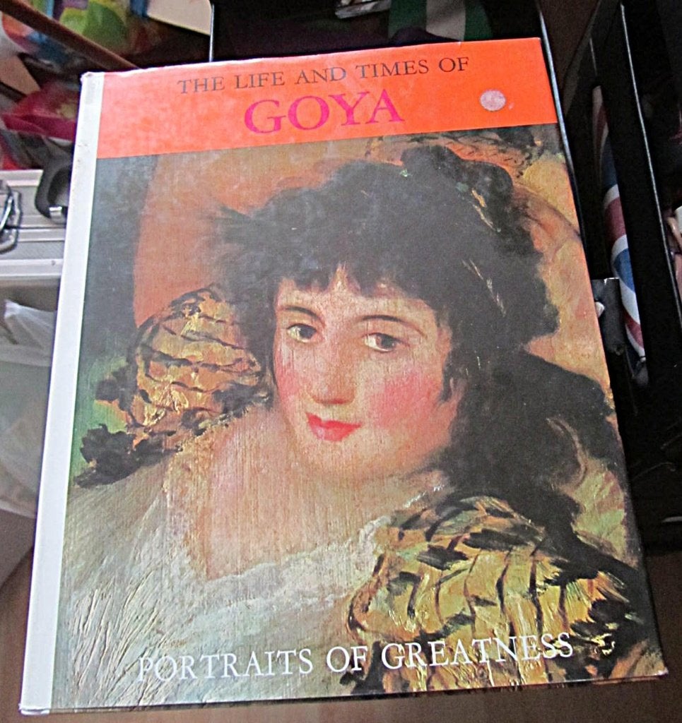 boek  schilder   GOYA, Ophalen of Verzenden, Gelezen