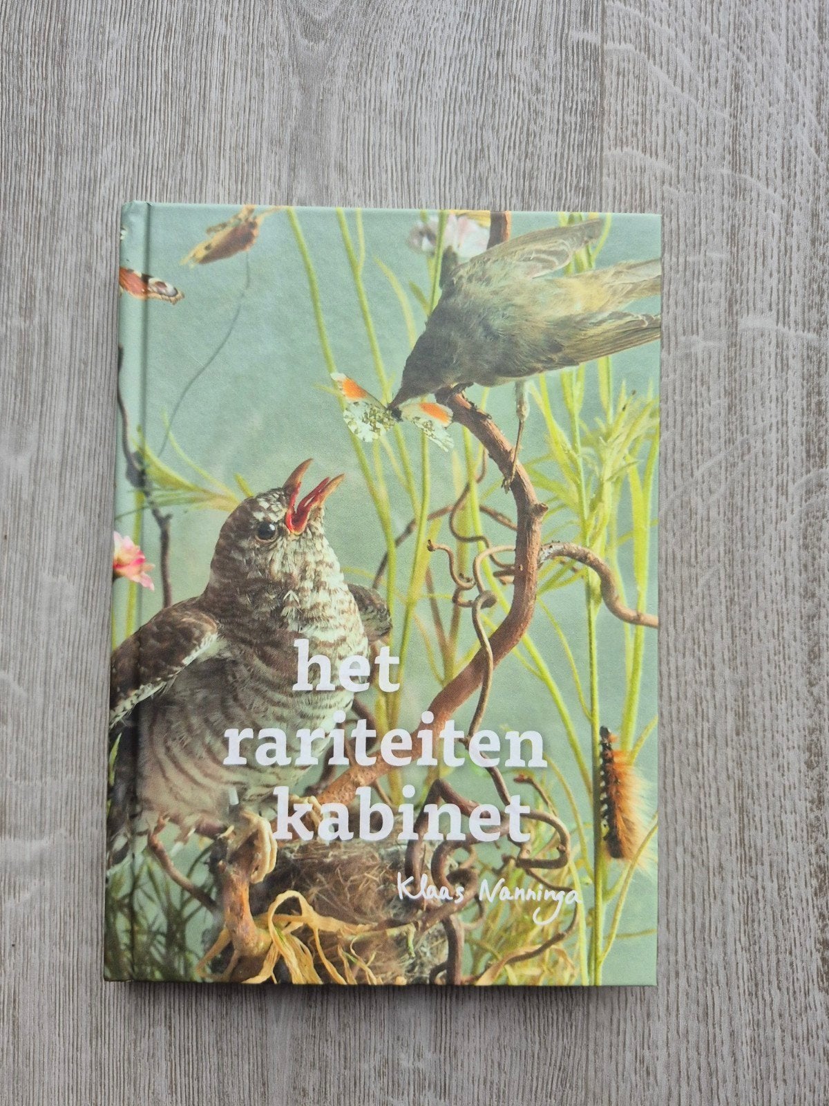 Het Rariteitenkabinet - Klaas Nanninga (Natuurboek), Ophalen of Verzenden, Zo goed als nieuw, Natuur algemeen, Klaas Nanninga