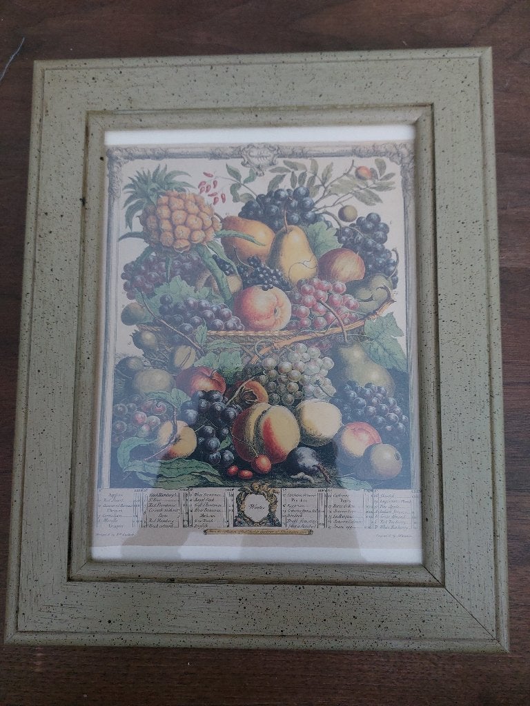 Prent fruit       µ1j, Ophalen, Minder dan 50 cm, Schilderij