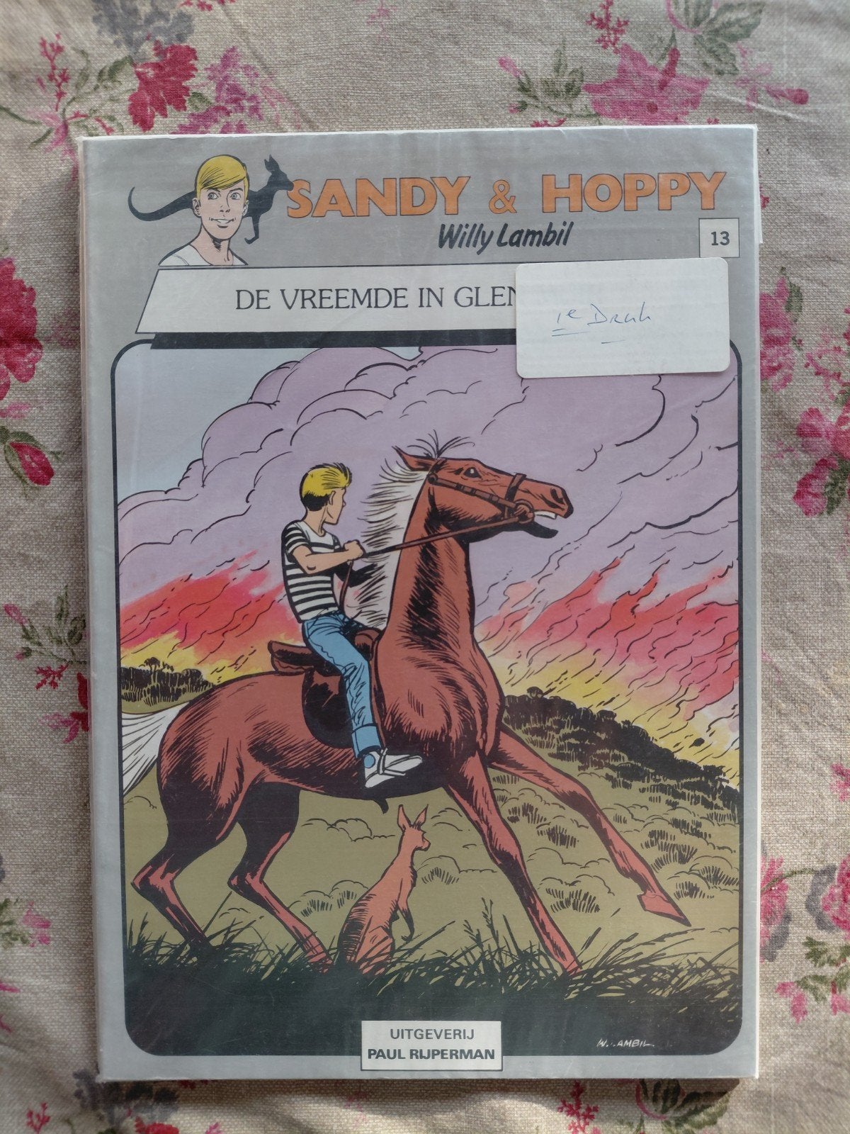 Sandy & Hoppy - De vreemde in Glen Muir 1e druk., Eén stripboek, Ophalen of Verzenden, Gelezen