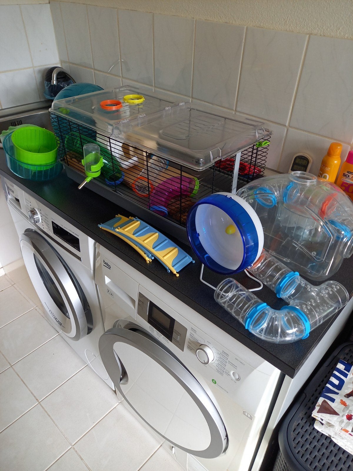 hamster  spullen  op te halen voor wat lekkers voor de kinde, Ophalen