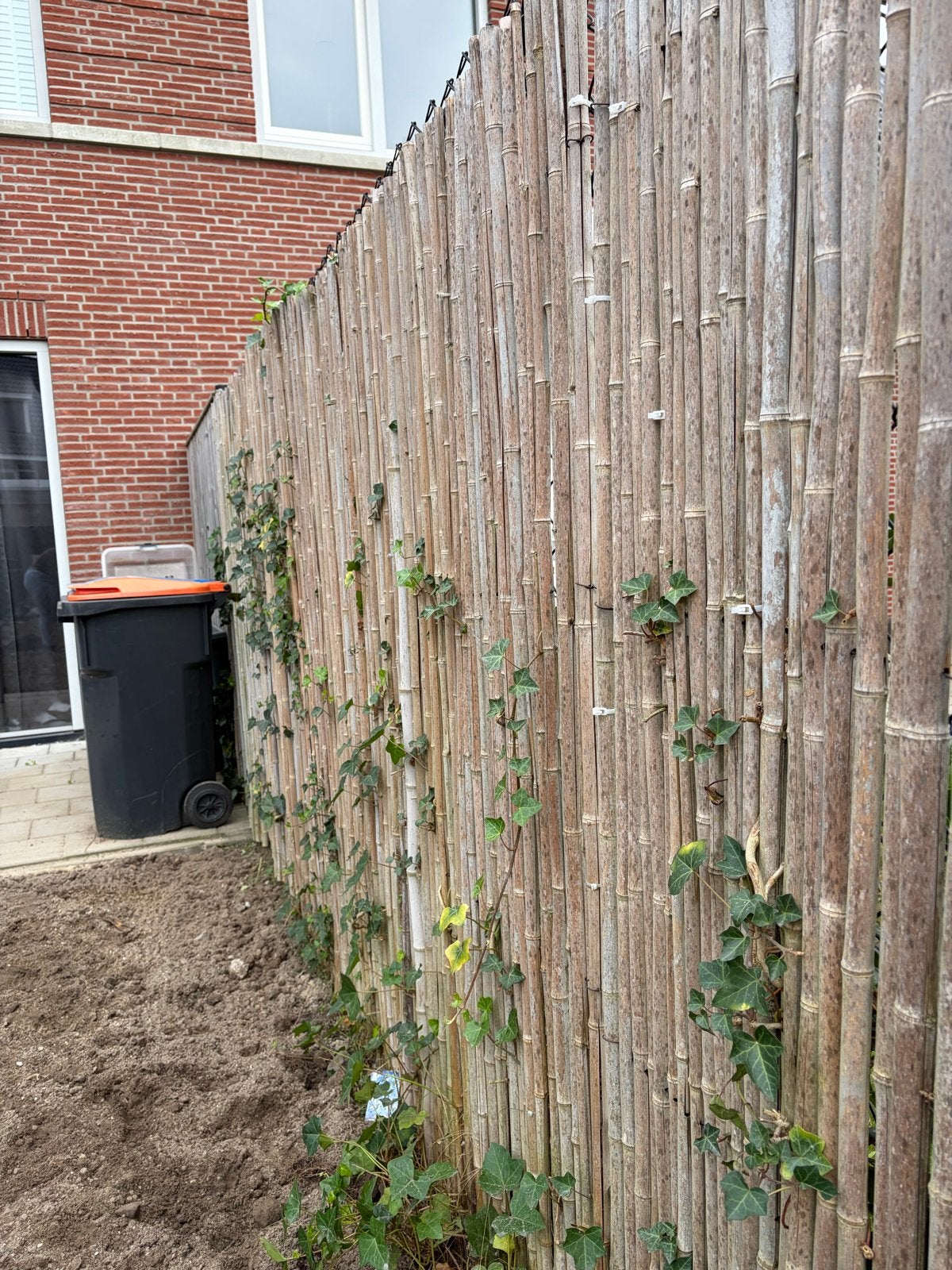 4x Bamboe - Gebruikt maar in goede staat, Tuin en Terras, Ophalen, Overige materialen, Minder dan 3 meter, 1 tot 2 meter
